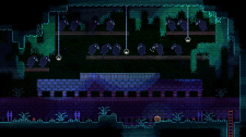 Animal Well