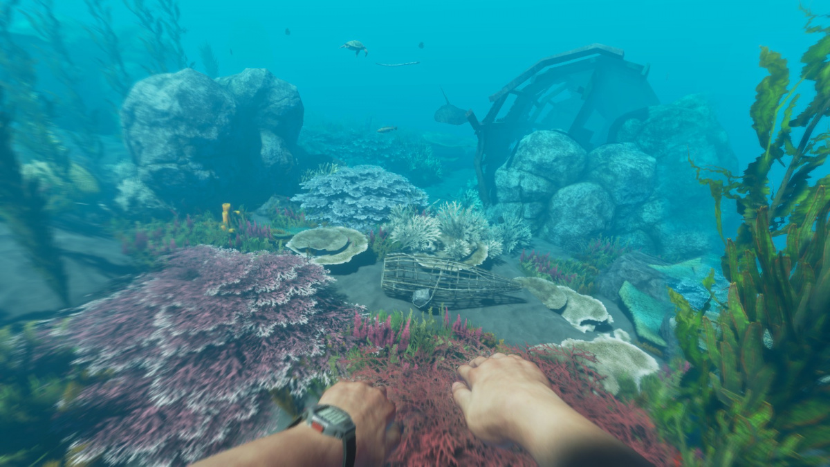 V Praze vzniká nové studio, bude pracovat na Stranded Deep 2