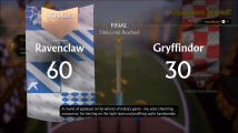 Harry Potter: Quidditch Champions