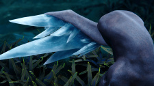 Glaciered