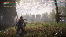 Horizon Zero Dawn Remastered