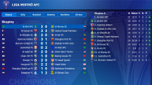 Czech Soccer Manager 25