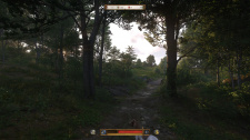 Kingdom Come: Deliverance 2