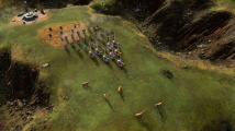 Age of Empires IV: Knights of Cross and Rose
