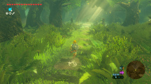 The Legend of Zelda: Breath of the Wild - Switch 2