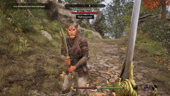 The Elder Scrolls IV: Oblivion Remastered