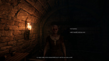 Tainted Grail: The Fall of Avalon (videohra)