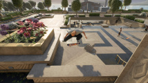 Skate