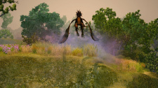 Sacred 2: Fallen Angel Remaster