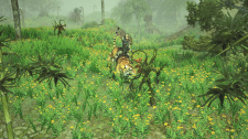 Sacred 2: Fallen Angel Remaster