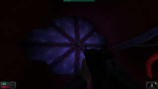 System Shock 2 Sphincter Door System Shock 2 Sphincter Door