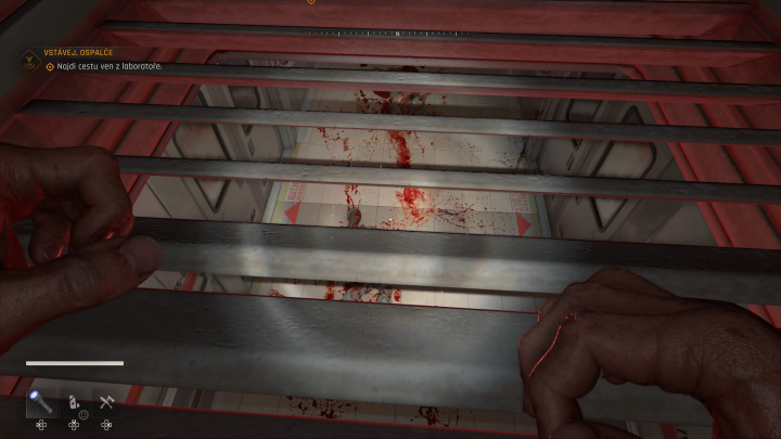 Dying Light: The Beast