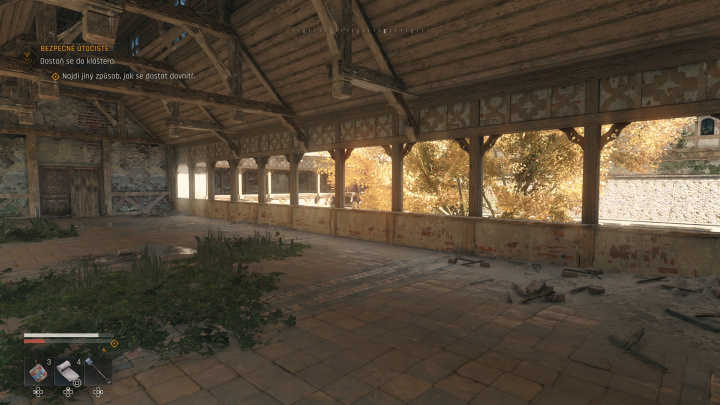 Dying Light: The Beast