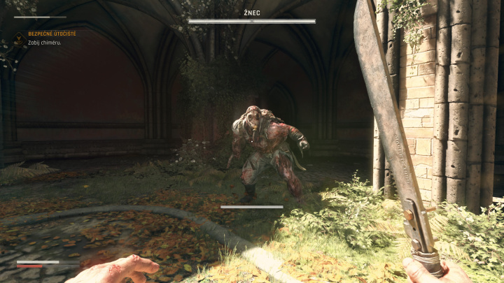 Dying Light: The Beast