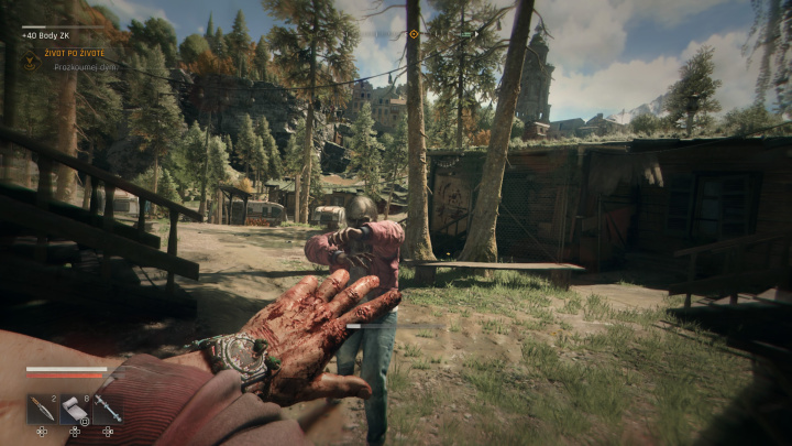 Dying Light: The Beast