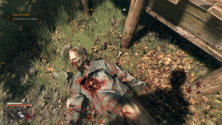 Dying Light: The Beast