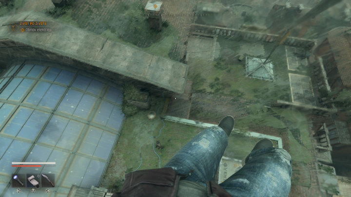 Dying Light: The Beast