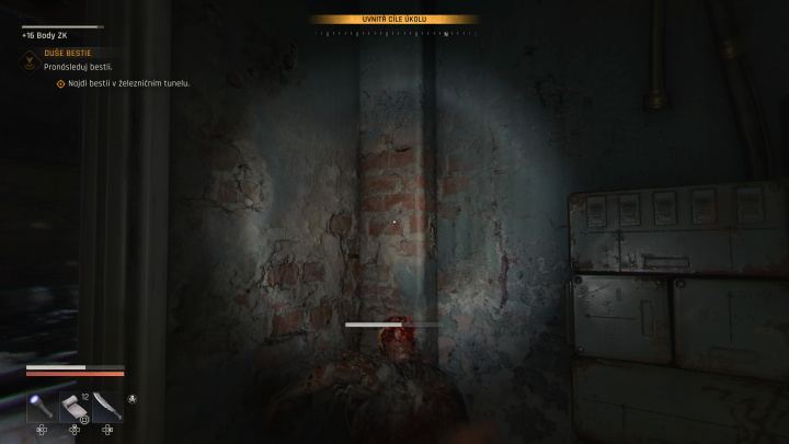 Dying Light: The Beast