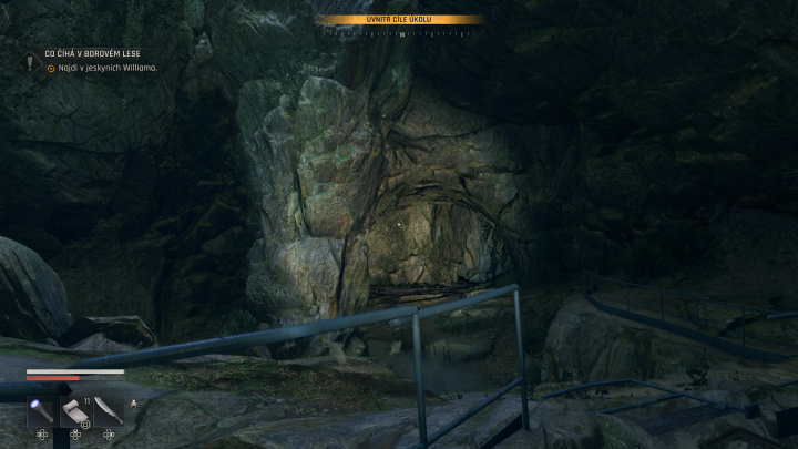 Dying Light: The Beast