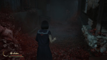 Silent Hill f