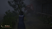 Silent Hill f