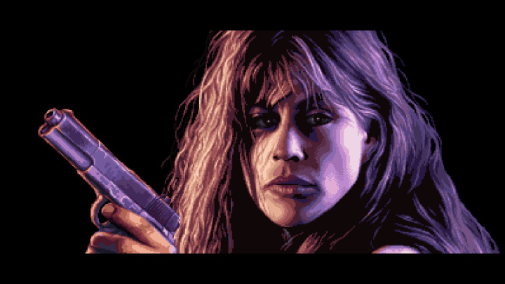 Terminator 2D: NO FATE