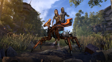 The Elder Scrolls Online