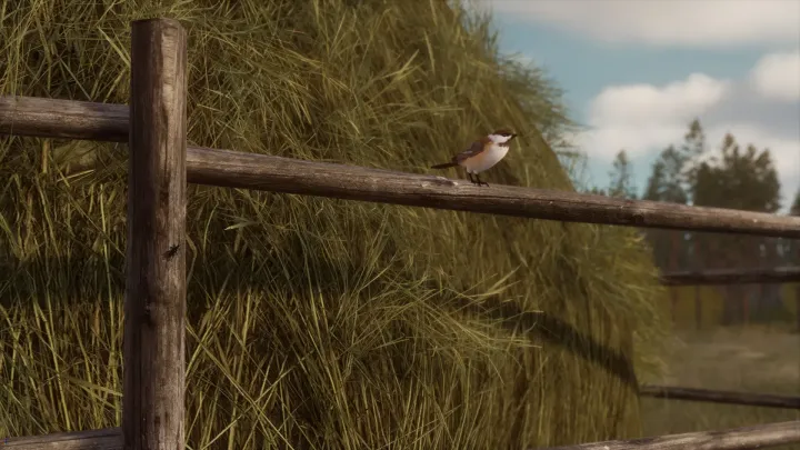 BULT: Hunting Simulator