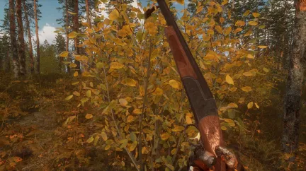 BULT: Hunting Simulator