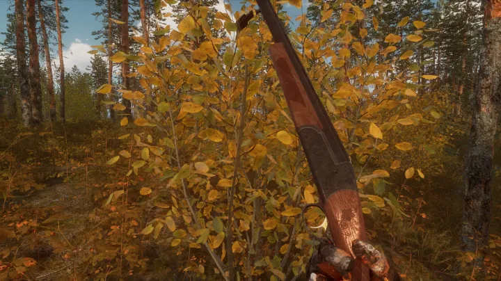 BULT: Hunting Simulator