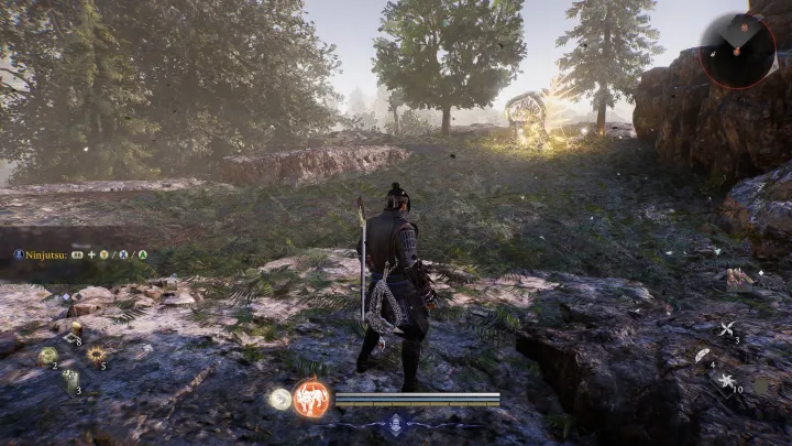 Nioh 3