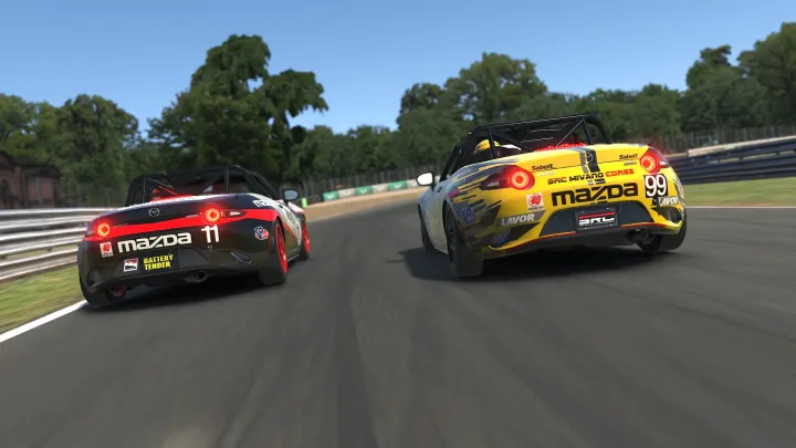 iRacing