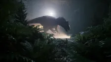 The Lost Wild