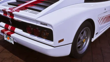 ULTIMATE_EDITION_GROTTI_CHEETAH_03