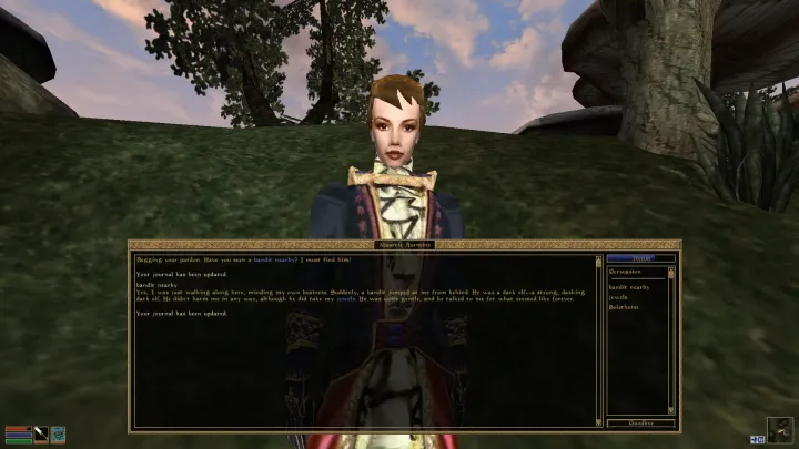 The Elder Scrolls III: Morrowind
