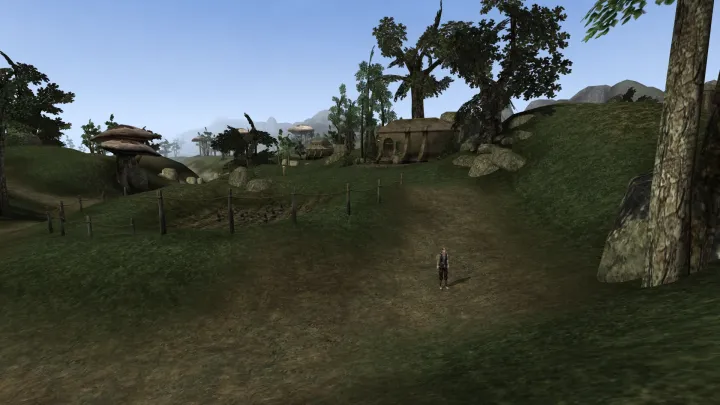 The Elder Scrolls III: Morrowind