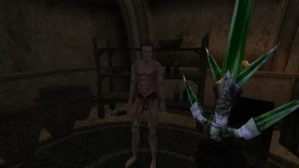 The Elder Scrolls III: Morrowind