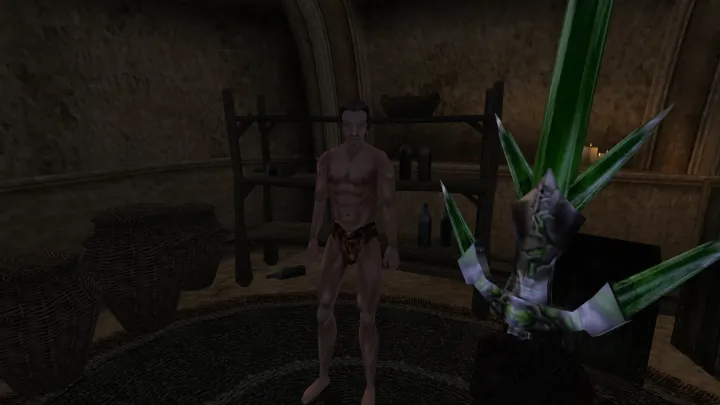 The Elder Scrolls III: Morrowind