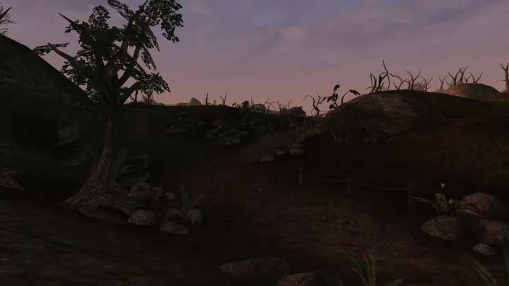 The Elder Scrolls III: Morrowind