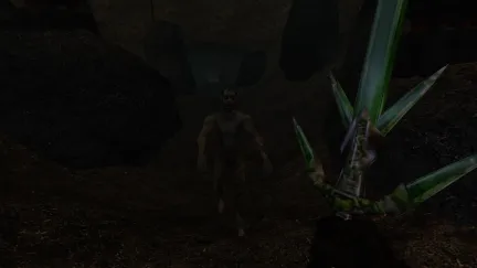 The Elder Scrolls III: Morrowind
