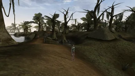 The Elder Scrolls III: Morrowind