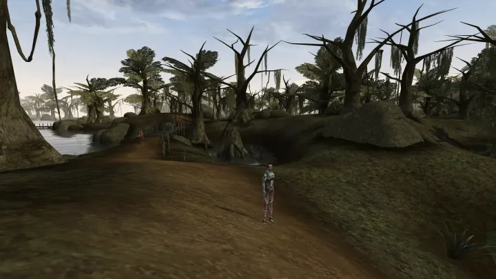 The Elder Scrolls III: Morrowind