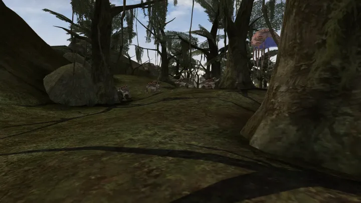 The Elder Scrolls III: Morrowind