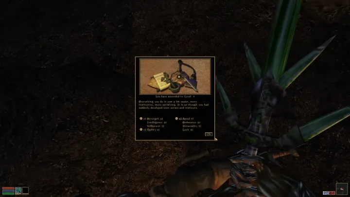 The Elder Scrolls III: Morrowind