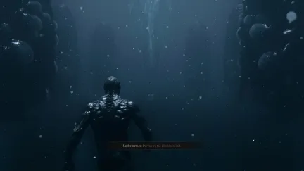 Mortal Shell II