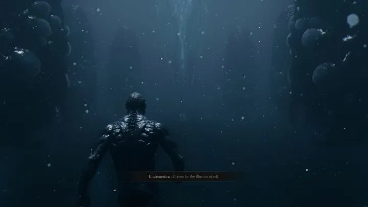 Mortal Shell II