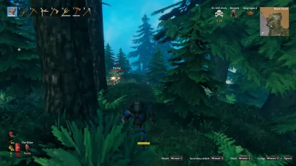 Valheim