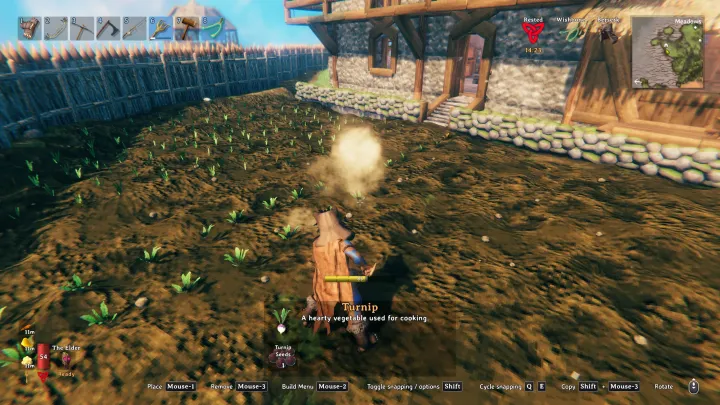 Valheim