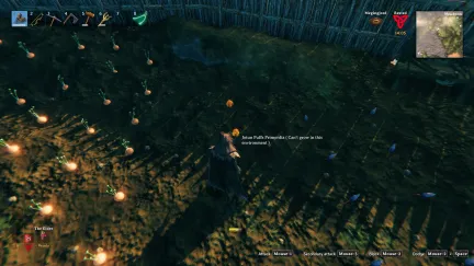 Valheim