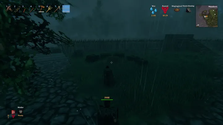 Valheim